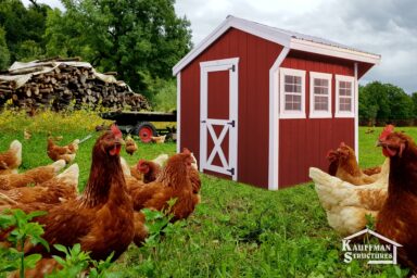 small chicken coop hen house in iowa