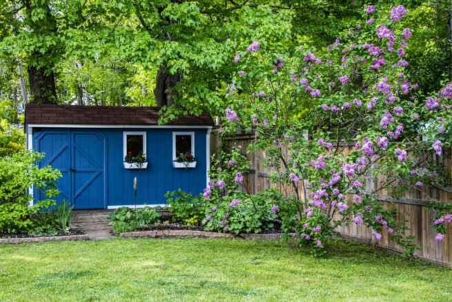 small shed with beautiful surrounding