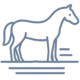 Minimalist line icon of a horse standing on stylized horizontal lines, rendered in medium gray with a transparent background.