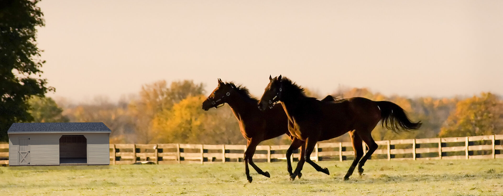 horse shed 